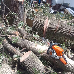 Landscaping Image 13