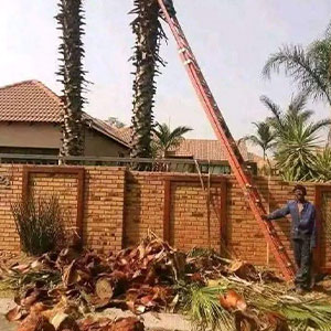 Landscaping Image 3
